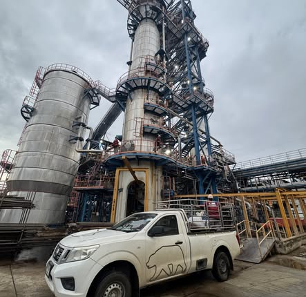 520869379_1354166149774608_7837377924576055074_n