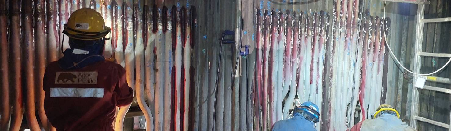 520928709_1354168866441003_3004841395877514488_n